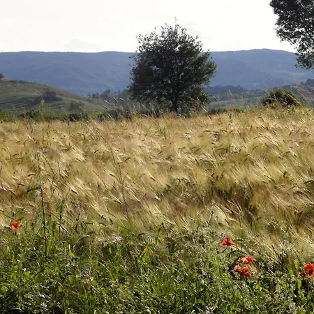 Monte Santa Maria Tiberina Sleeps 6 Pool Wifi Monteleone dʼOrvieto