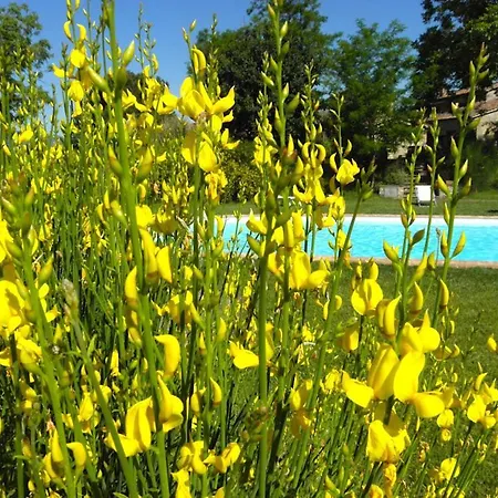 Monte Santa Maria Tiberina Sleeps 6 Pool Wifi