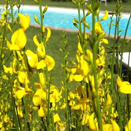 Appartamento Monte Santa Maria Tiberina Sleeps 6 Pool Wifi Monteleone dʼOrvieto