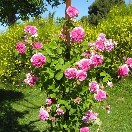 Monte Santa Maria Tiberina Sleeps 6 Pool Wifi Monteleone dʼOrvieto